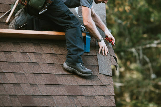 Best Roof Gutter Cleaning  in Rosemont, PA